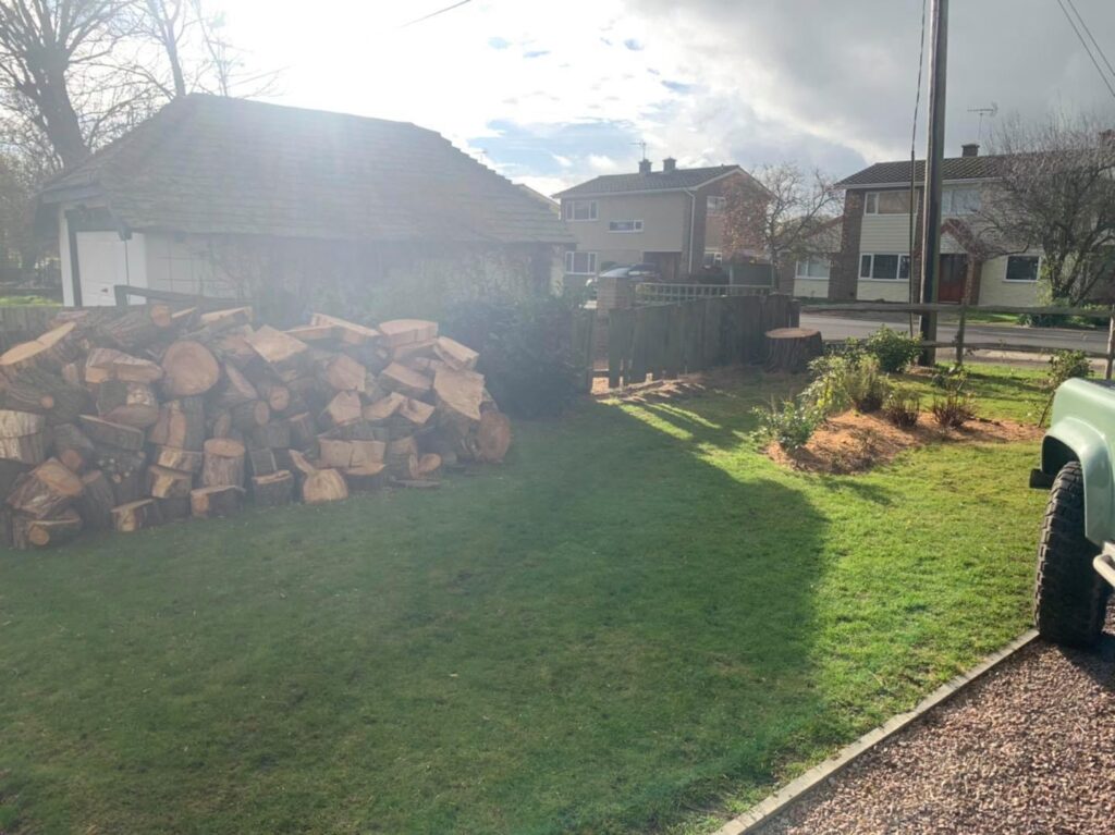 Labrador Tree Surgery. Based in Herne Bay. For all your tree surgery and tree surgeon needs. Job carried out in Herne Bay – Tree Surgery / Removal