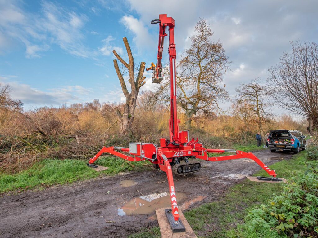 Labrador Tree Surgery. Based in Herne Bay. For all your tree surgery and tree surgeon needs. Job carried out in Herne Bay – Tree Surgery / Removal