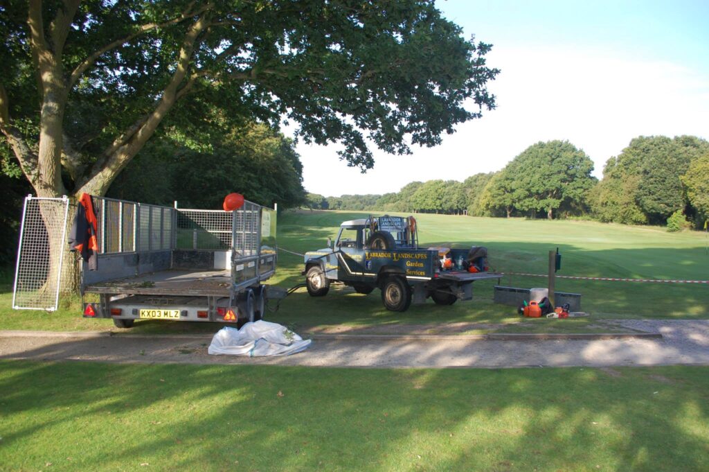 Labrador Tree Surgery. Based in Herne Bay. For all your tree surgery and tree surgeon needs. Job carried out in Herne Bay – Tree Surgery / Removal