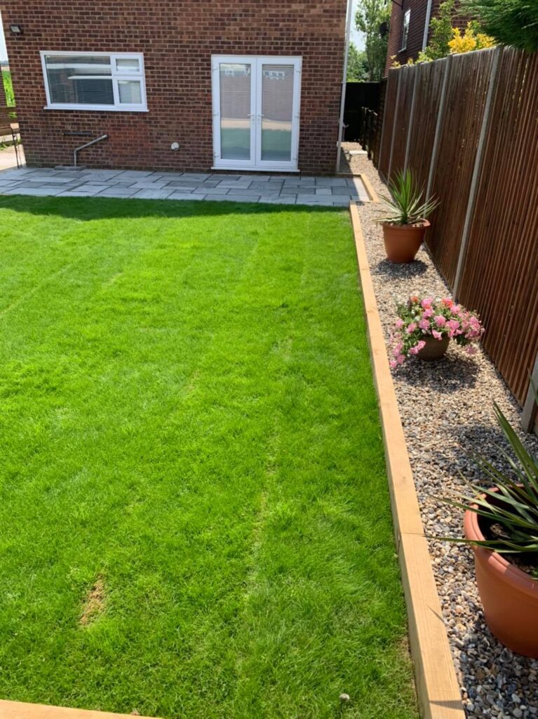 Labrador Tree Surgery. Based in Herne Bay. For all your tree surgery and tree surgeon needs. Job carried out in Herne Bay - Porcelain Patio
