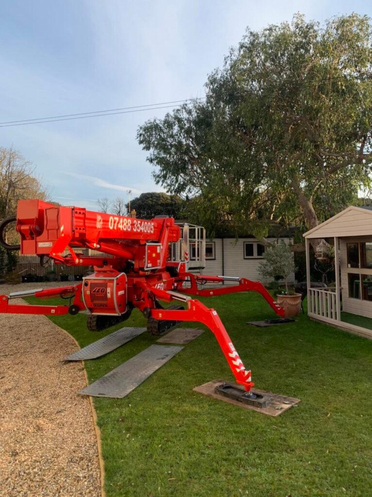 Labrador Tree Surgery. Based in Herne Bay. For all your tree surgery and tree surgeon needs. Job carried out in Herne Bay – Tree Surgery / Removal